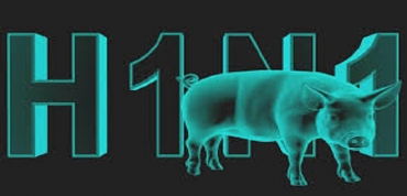 ارتفاع عدد وفيات أنفلونزا الخنازير إلى 11 حالة في تونس